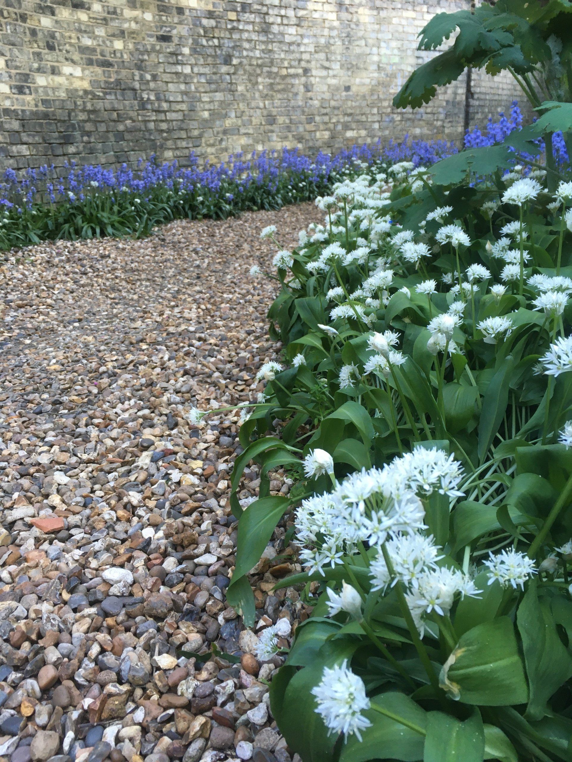 Highsett Houses in central Cambridge UK