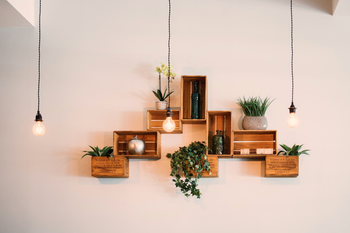 A wall with wooden shelves and potted plants on it.