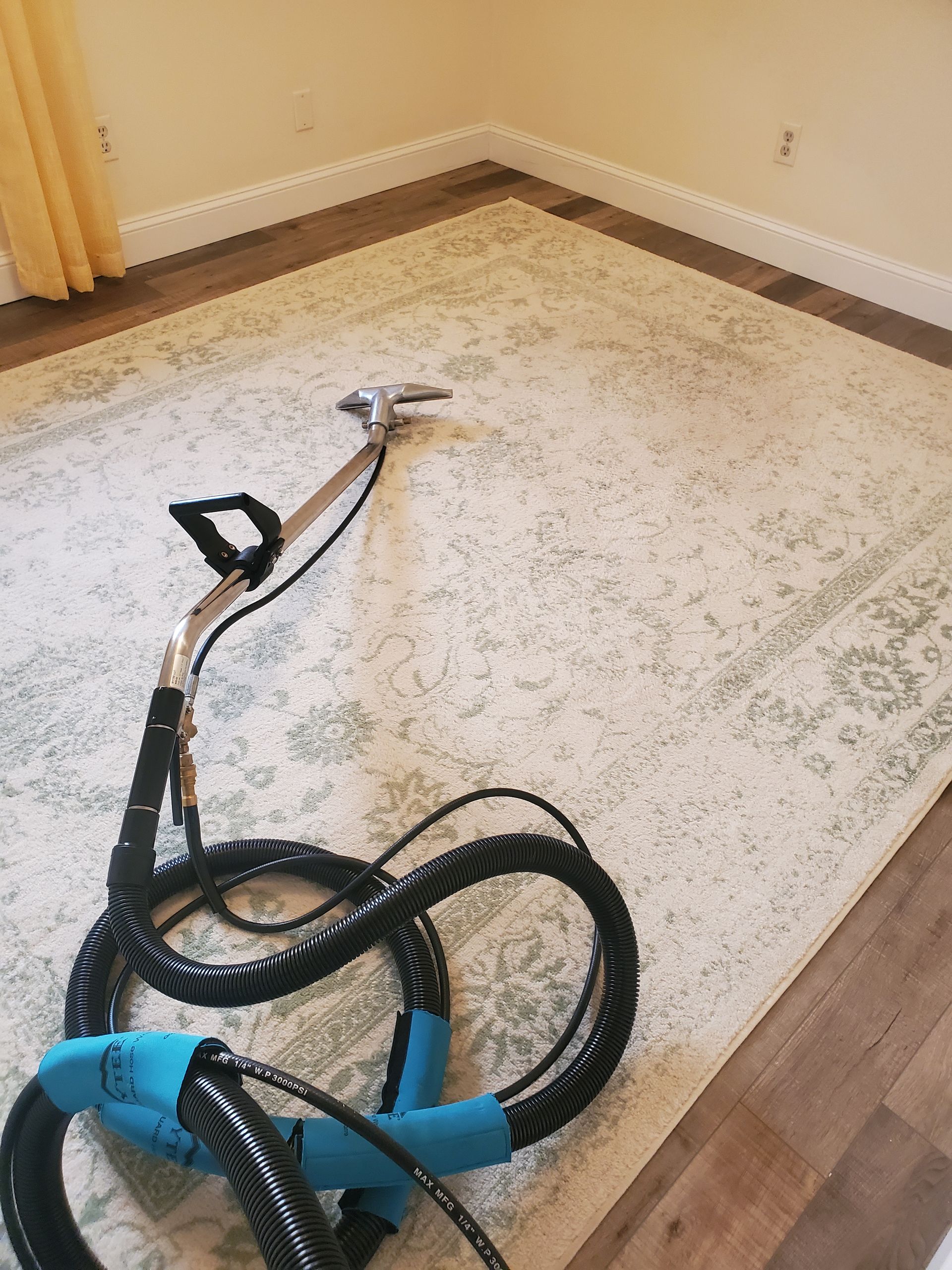 Area Rug Cleaning Knoxville, TN