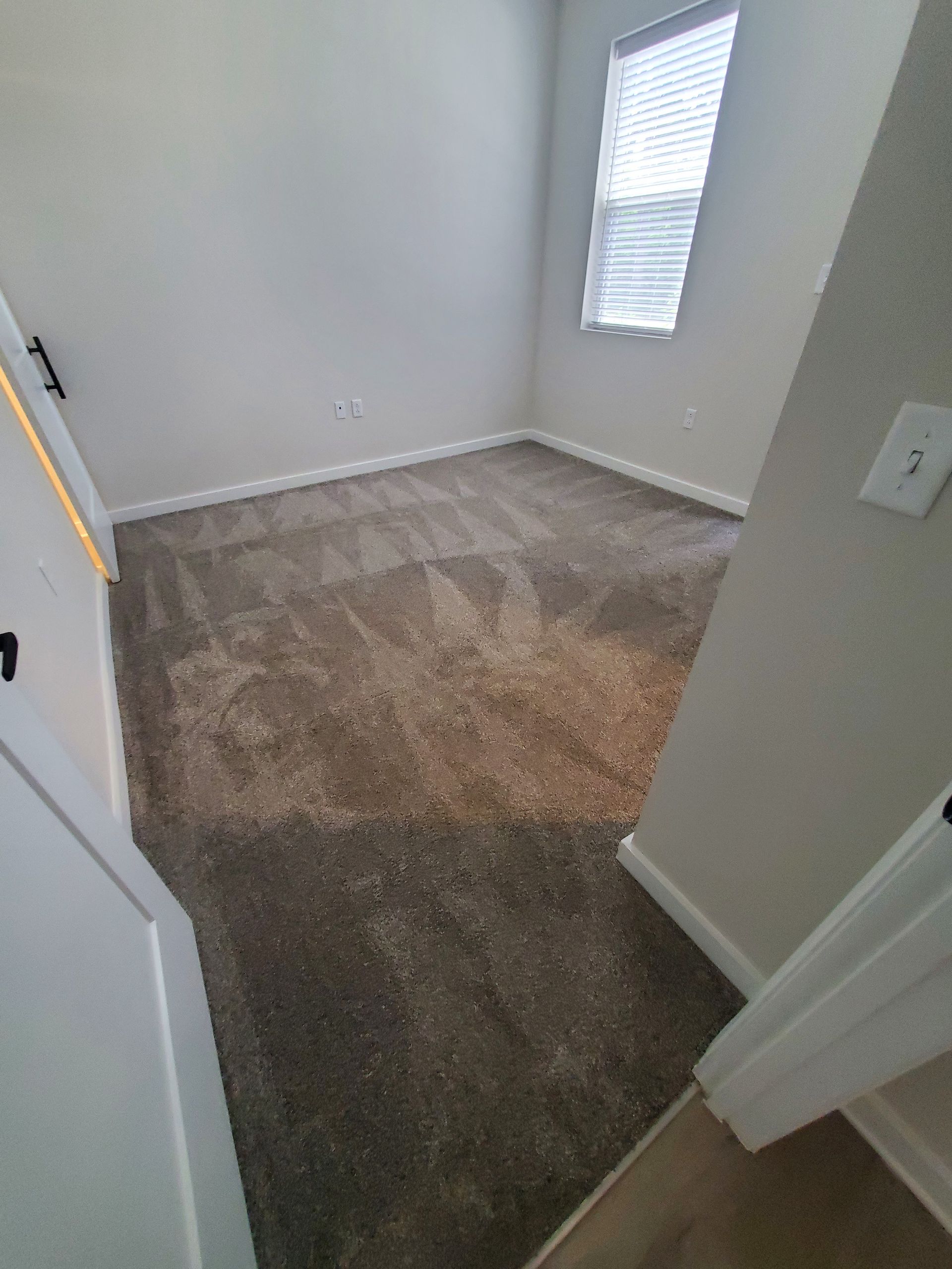 Pet Stain and Odor Removal Knoxville, TN