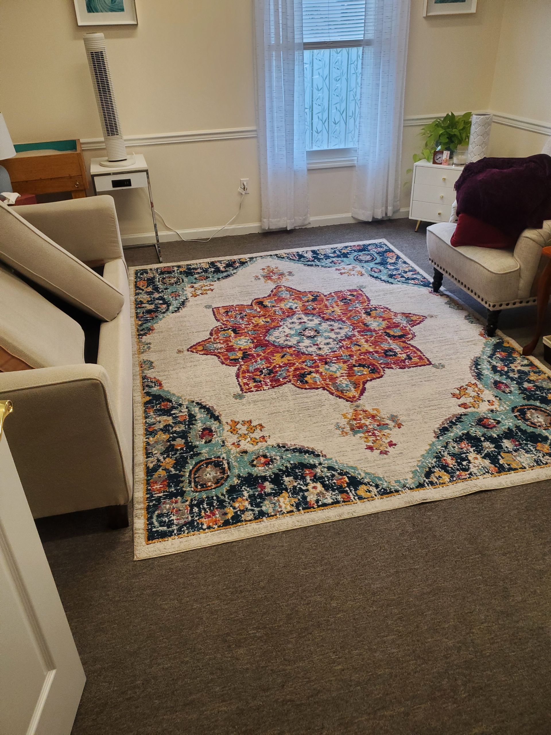 Area Rug Cleaning Knoxville, TN