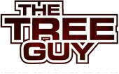 The Tree Guy