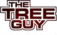 The Tree Guy