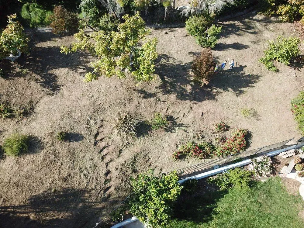 An aerial view of a dirt field with trees and bushes