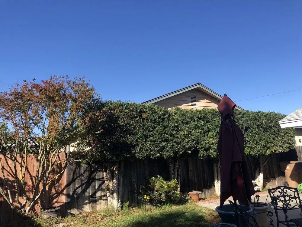 A house with a red umbrella in front of it.