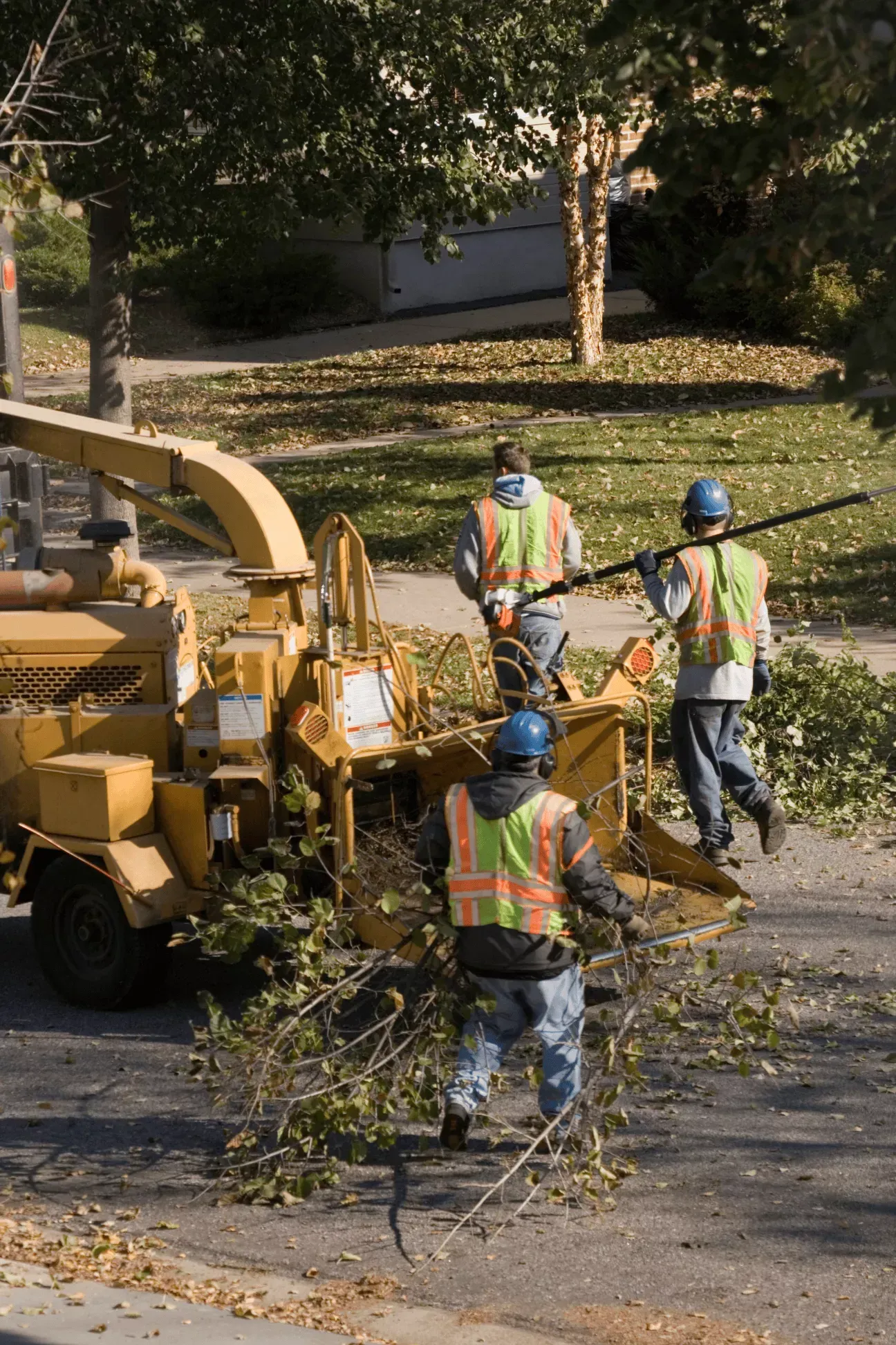 Two men are cutting down a palm tree with a chainsaw.