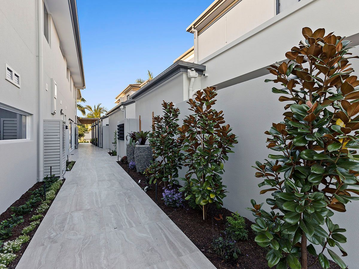 A walkway between two buildings with trees on the side