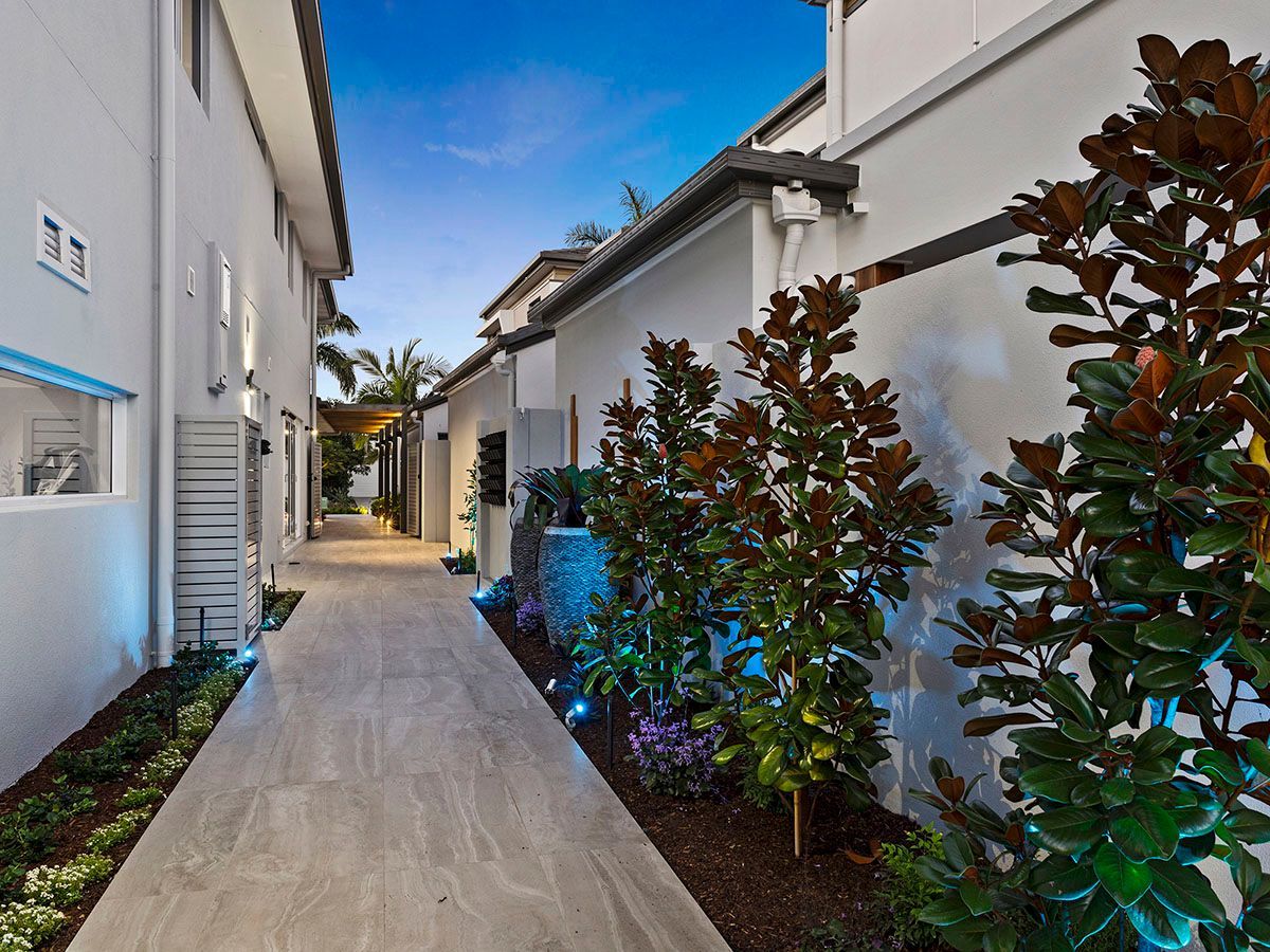 A walkway between two buildings with trees on both sides