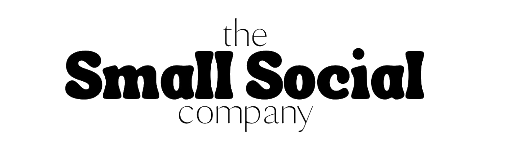 The Small Social Company logo