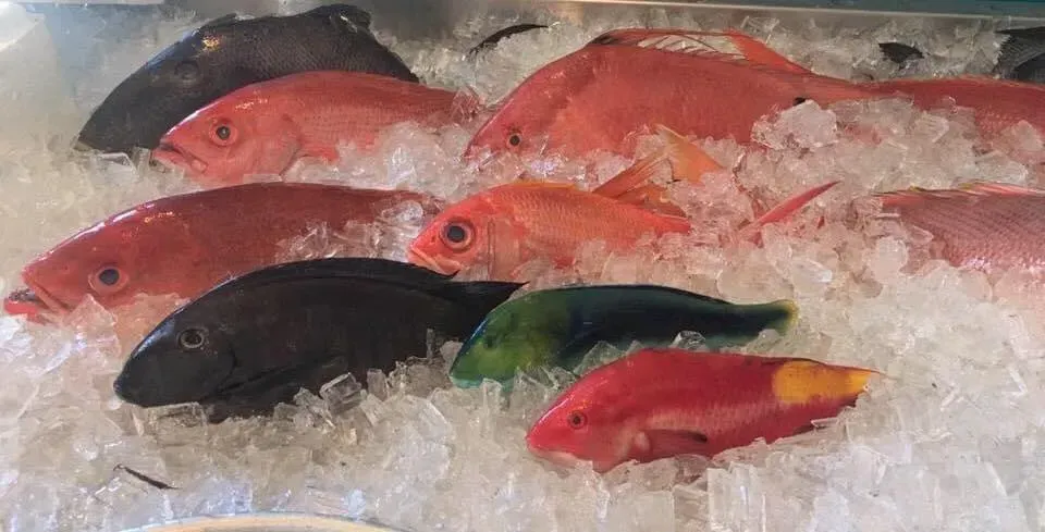 Various colorful fish on ice. Red, orange, black, green, and yellow fish displayed at a market.