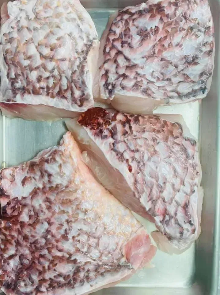Four raw fish fillets in a metal tray; the skin has a reddish-brown scale pattern.