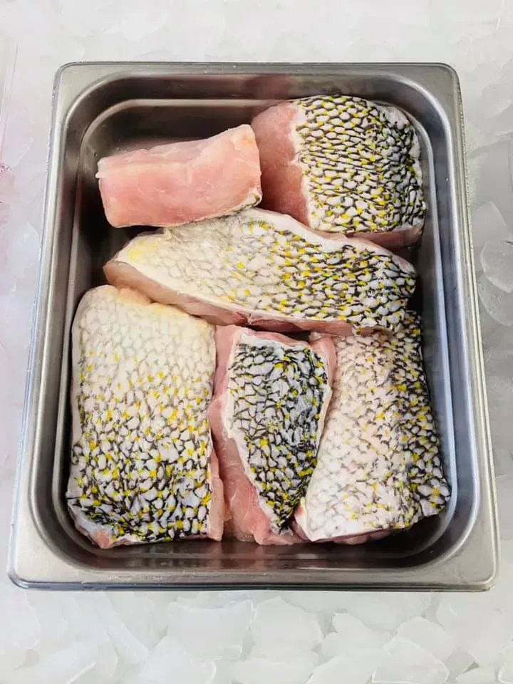 Raw fish fillets with scales in a metal container on ice.