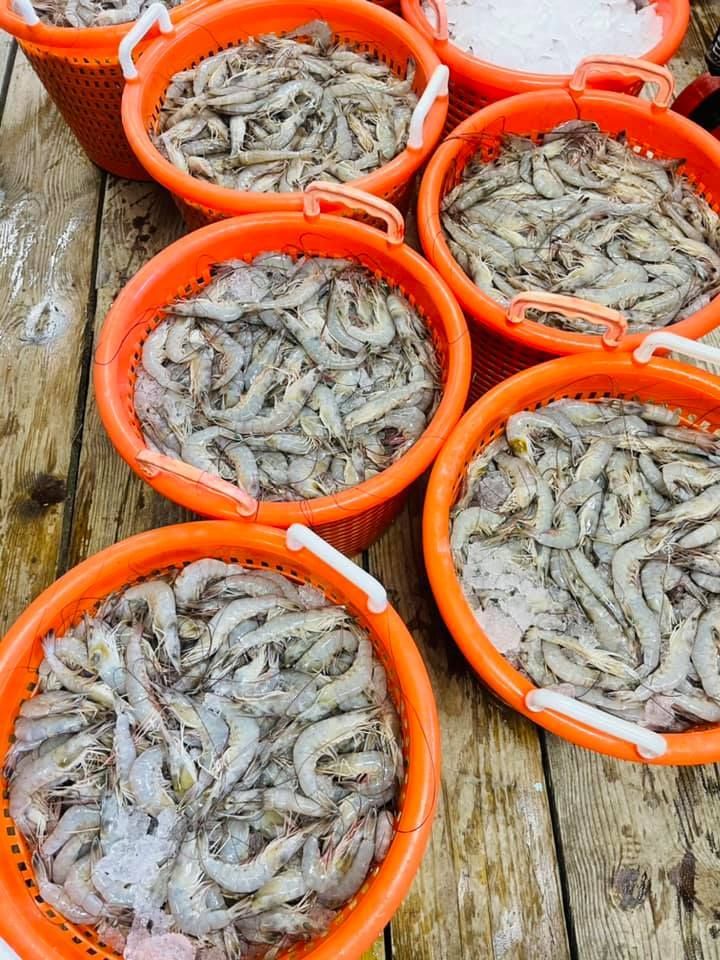Six orange baskets filled with shrimp on a wooden surface.