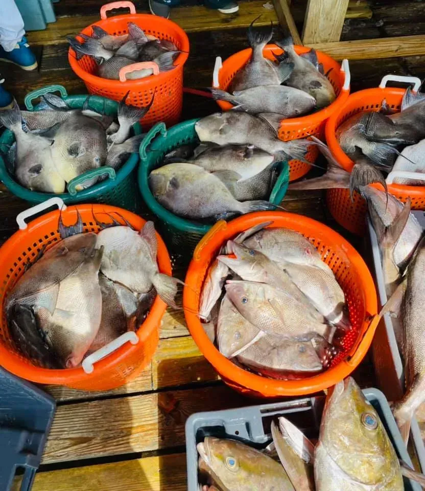 Fish in orange and green baskets on a wooden dock.