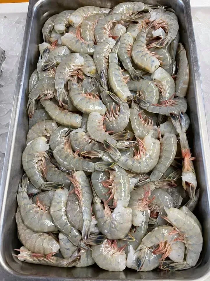 Tray of raw shrimp, gray-pink color, in a stainless steel container, likely for sale at a market.