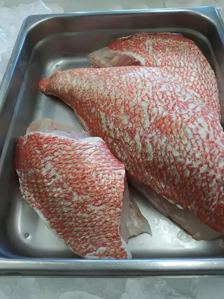 Three raw red fish fillets in a stainless steel container. The fish has red and white scales.