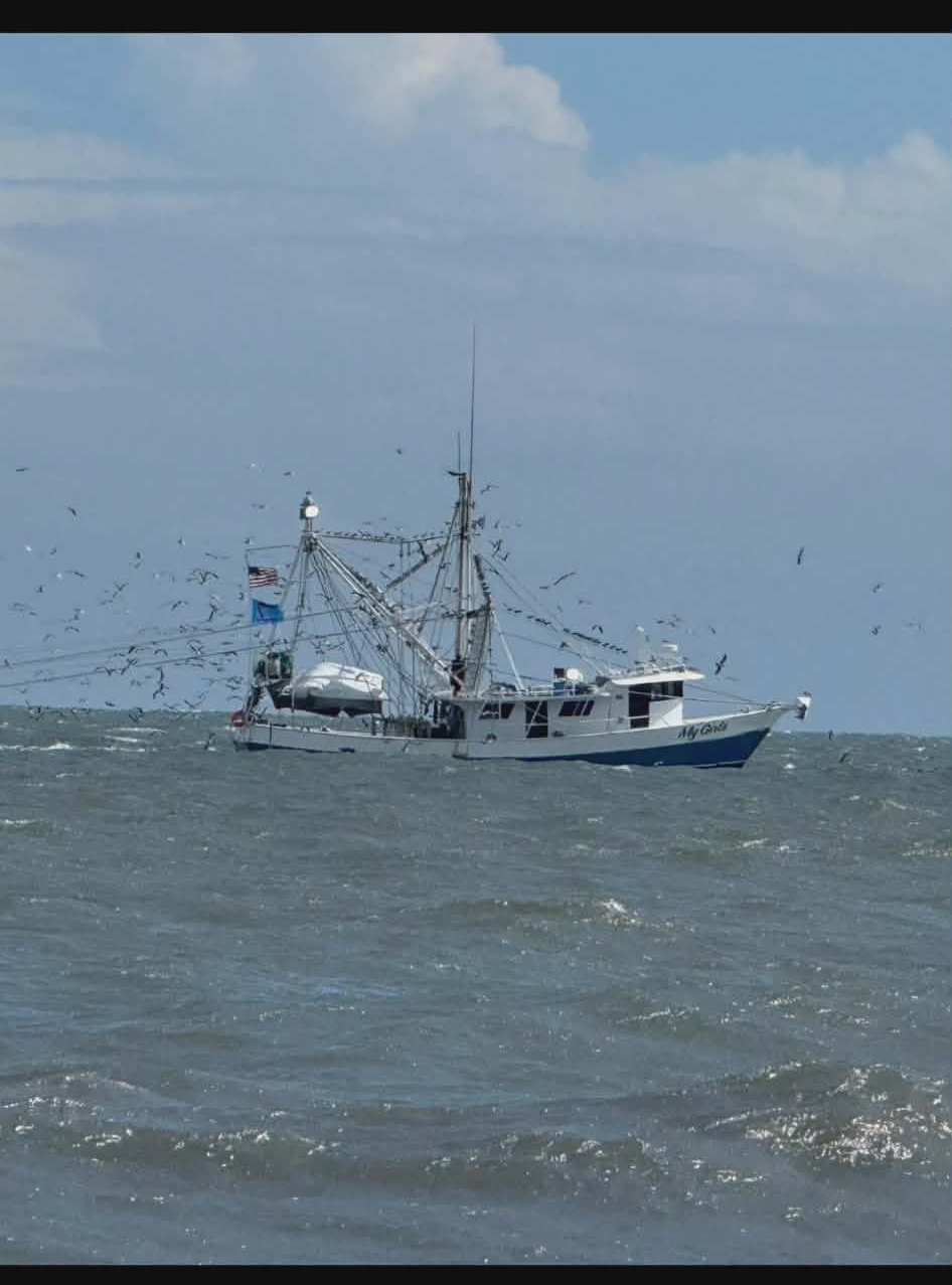 Fishing boat at sea surrounded by flying birds under a blue sky.