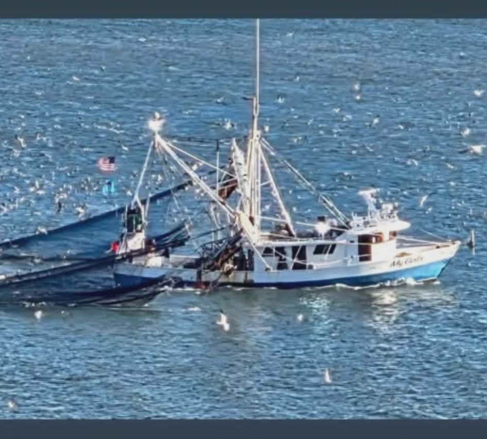 Fishing boat on blue water, surrounded by seagulls, pulling a net.