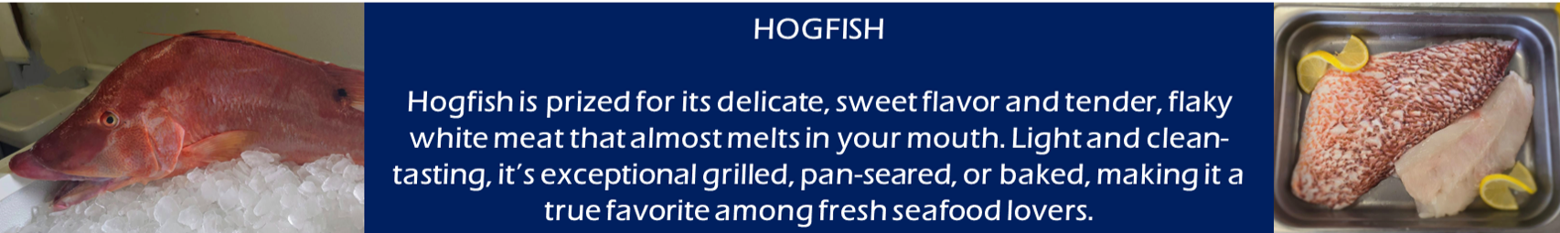 Red fish next to text about Hoopsch. Fish on ice to the left, prepared fish to the right.