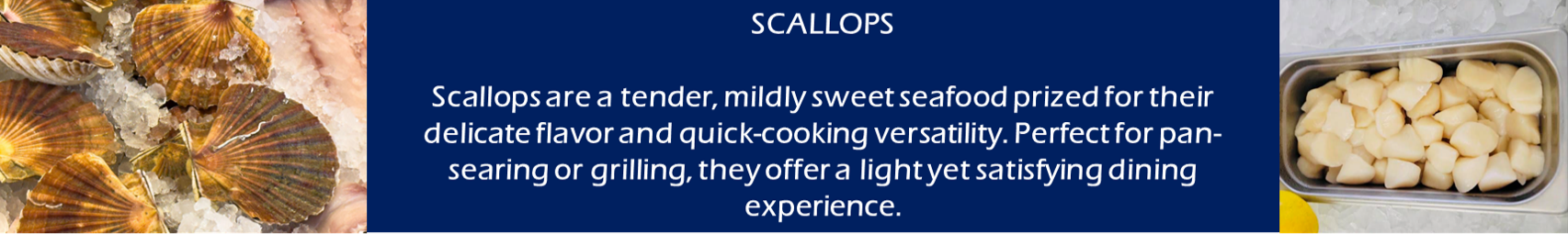 Scallops text on blue background and food.