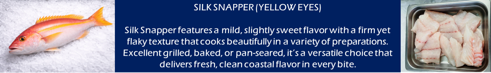 Whole red fish next to text about snapper preparation with a tray of fish chunks.