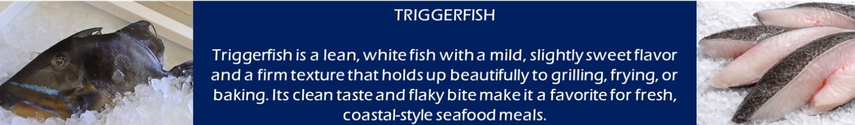 Fish, text about the fish in a navy-blue background.