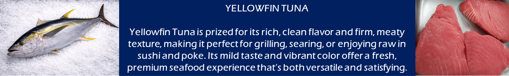 Yellowfin tuna information: fish and raw cuts with description on blue background.