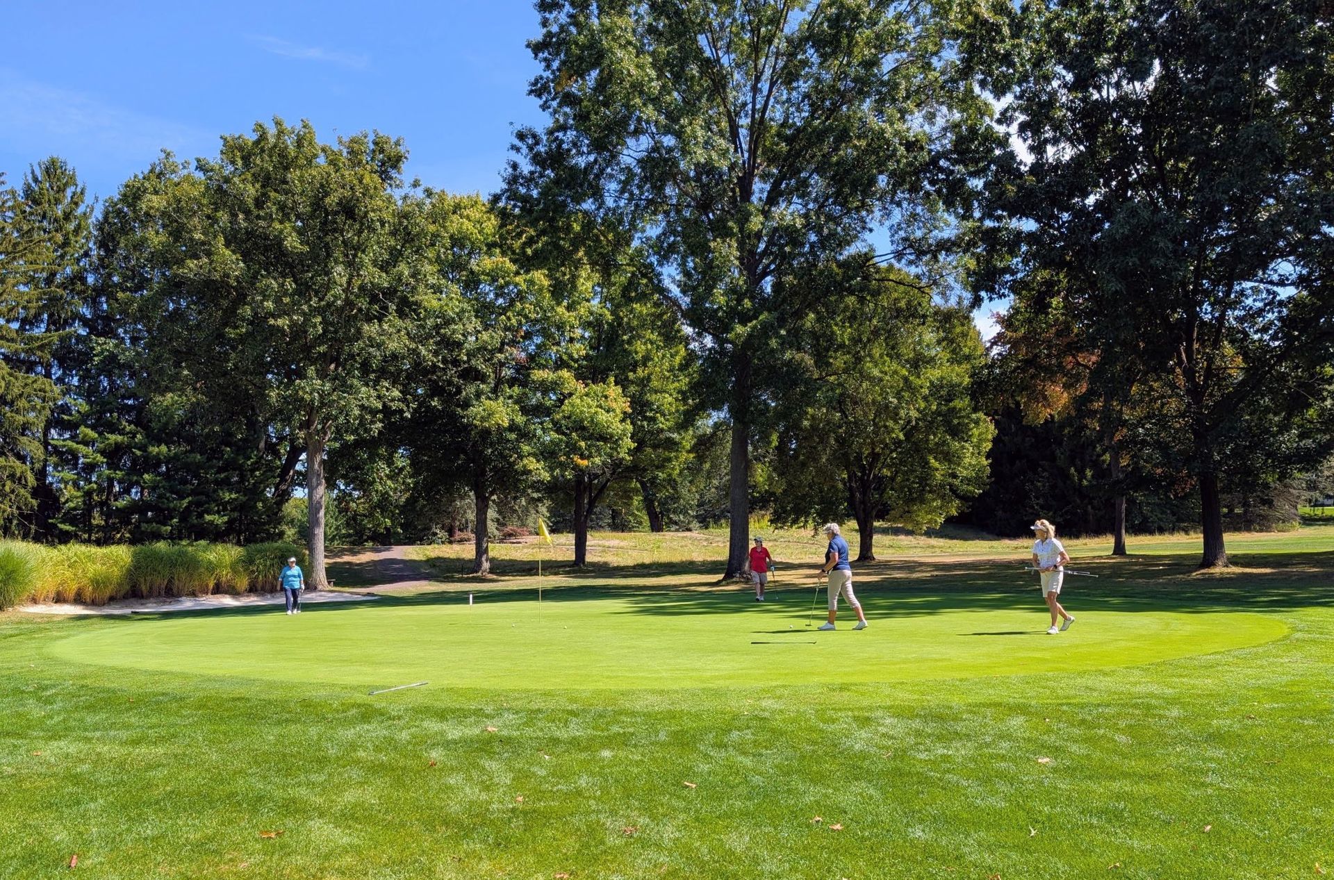 Golfers on a green course, trees in the background, sunny day.
