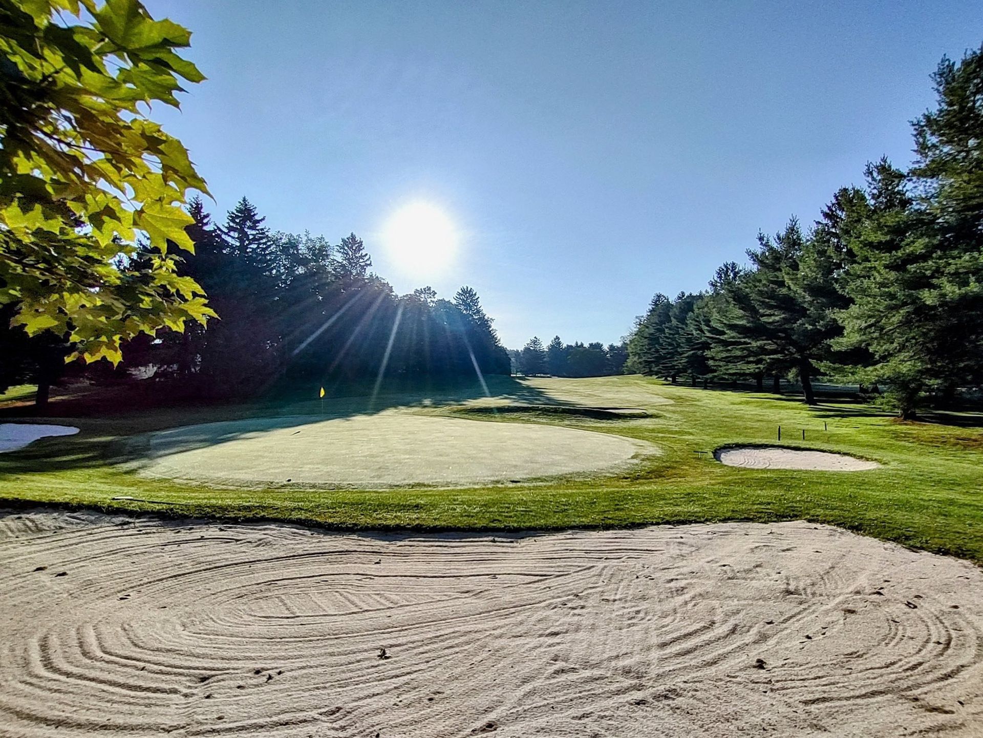 Golf course view with sand trap in the foreground, bright sun and trees in the background.