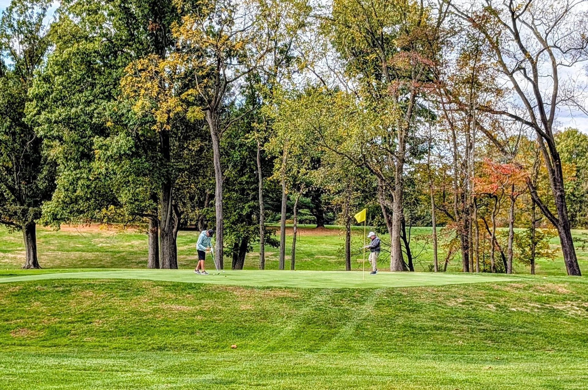 Golfers on a green, trees in background, sunny day.
