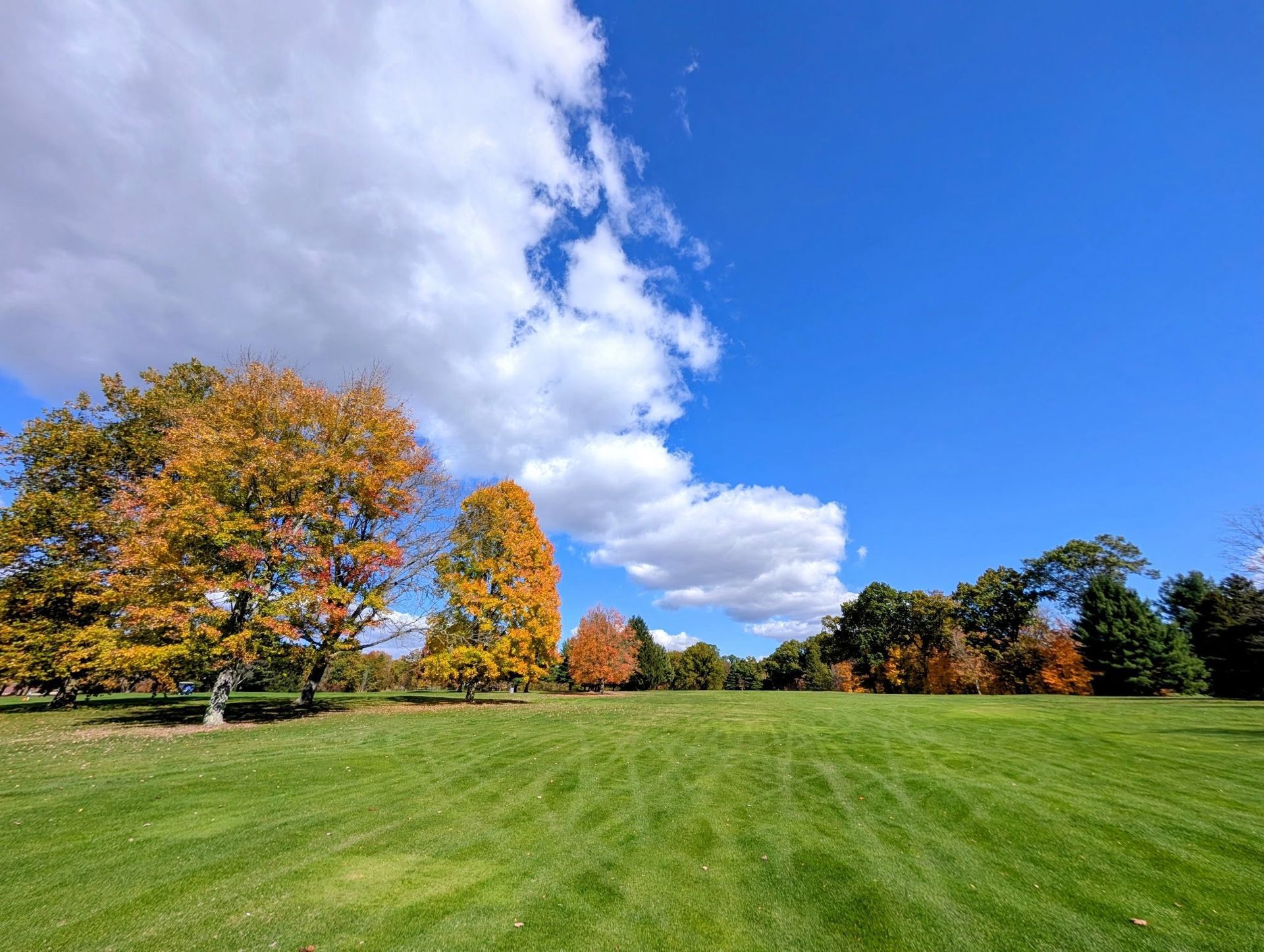 Green field with trees displaying autumn colors under a blue sky with fluffy white clouds.