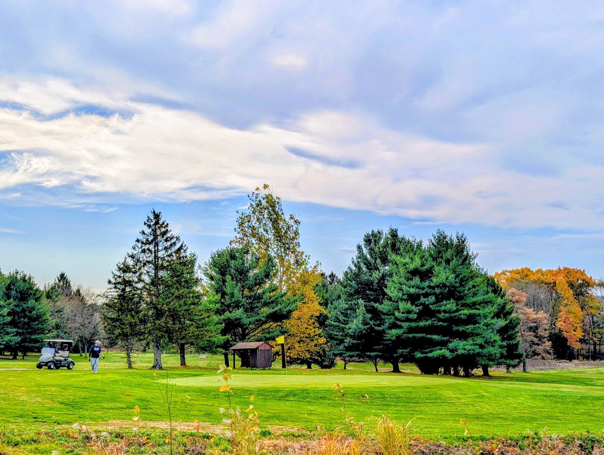 Green golf course under a cloudy sky, with trees, golf cart, and person playing.
