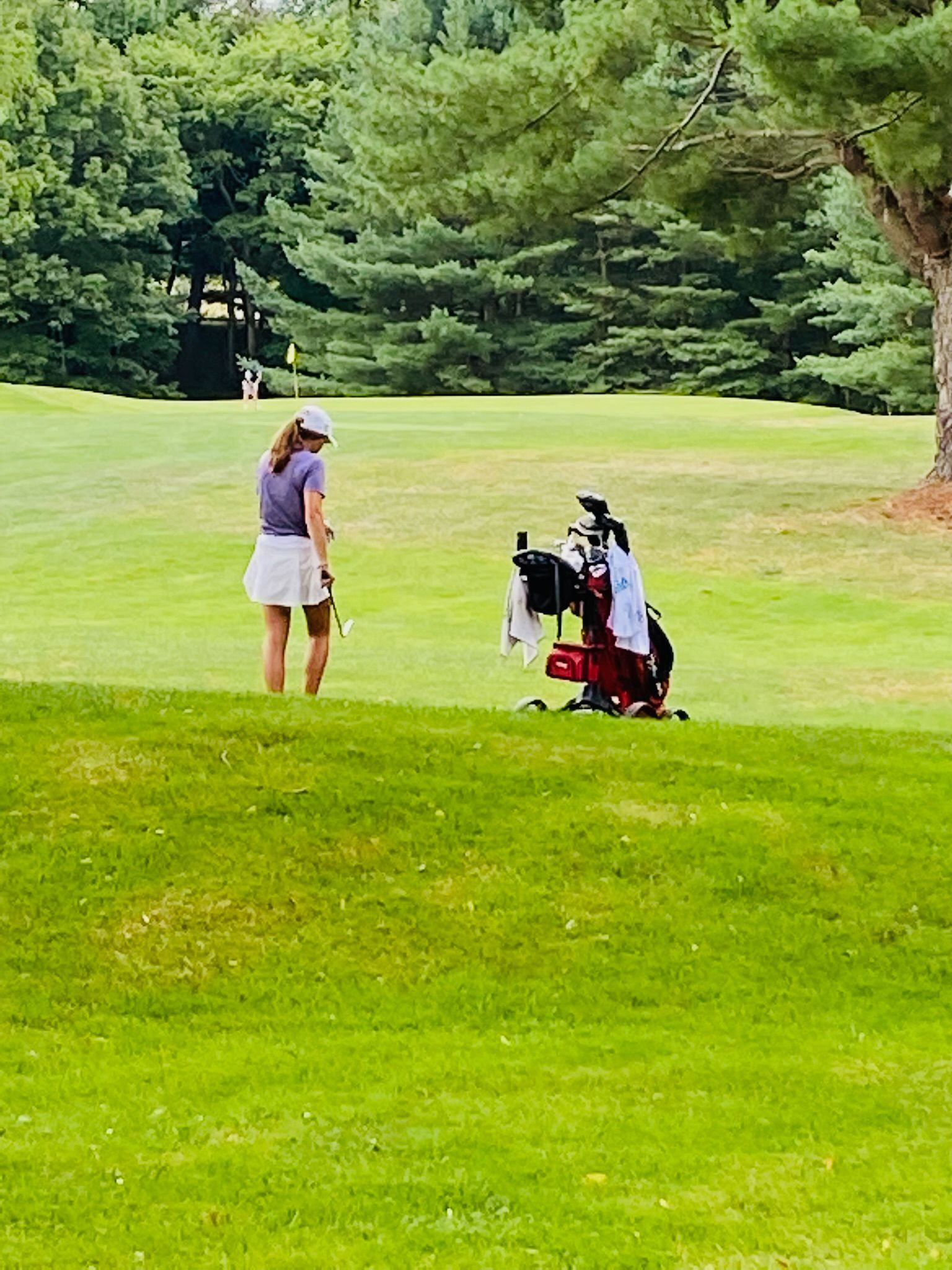 Person standing on a golf course, facing away. Golf bag on the right, trees in the background. Green grass.