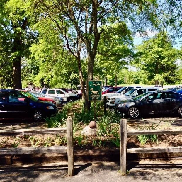 Parking lot with cars, wooden fence, sign, and trees. Green and sunny.