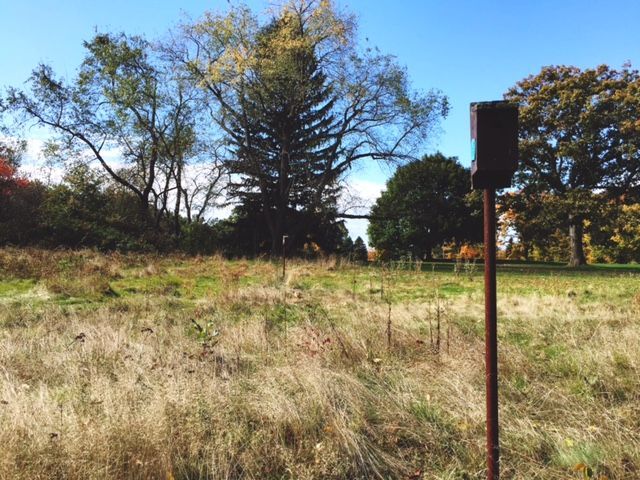 Field with tall grass, trees in the background, and a brown post with a black box on top. Blue sky.
