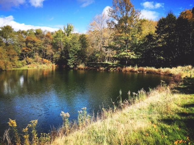 A serene lake surrounded by trees in autumn, reflecting the blue sky and foliage.