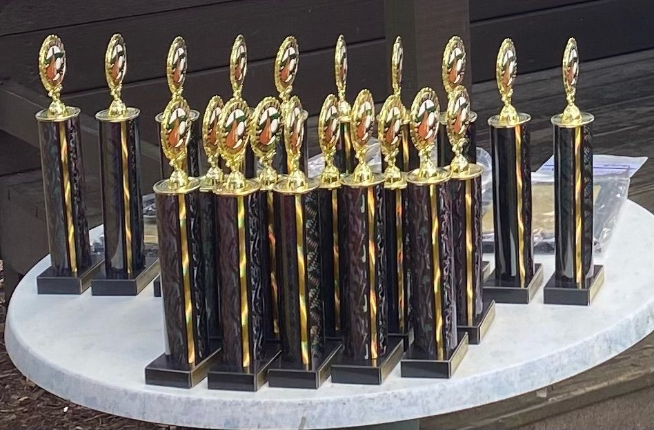 Row of trophies with gold tops and brown columns on a white table.