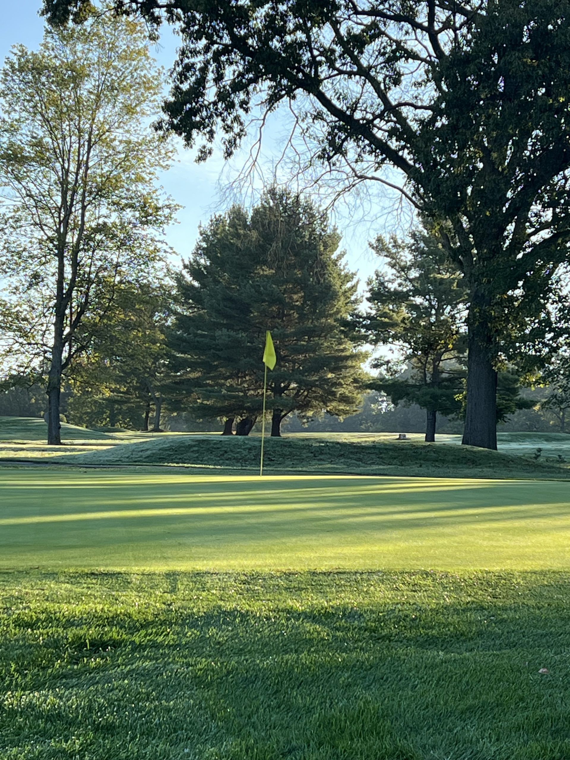 Green golf course, flag waving, trees in background, sunny day.