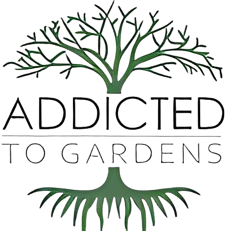 Addicted to Gardens: Certified Arborist in Bowral