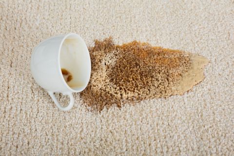 carpet cleaning canberra