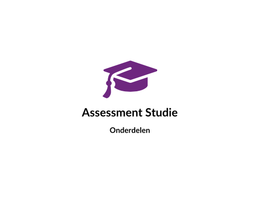 Assessment studie onderdelen zoals, cijferreeksen, analogieën en diagrammen.