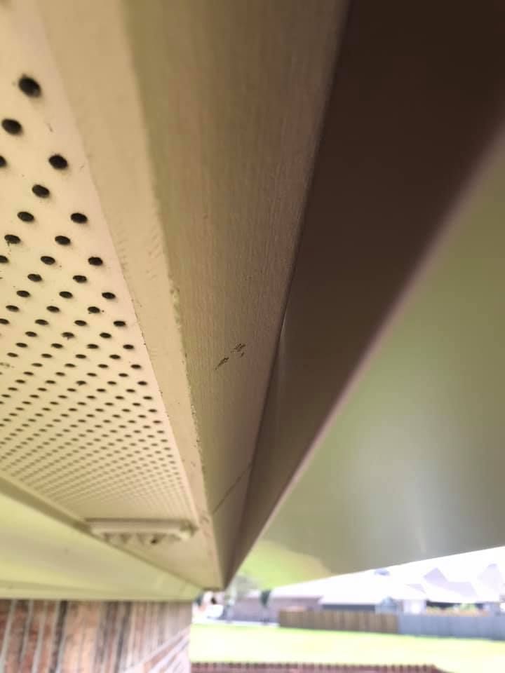Underside view of beige soffit with ventilation holes, meeting a brown angled beam, against a blurred outdoor background.