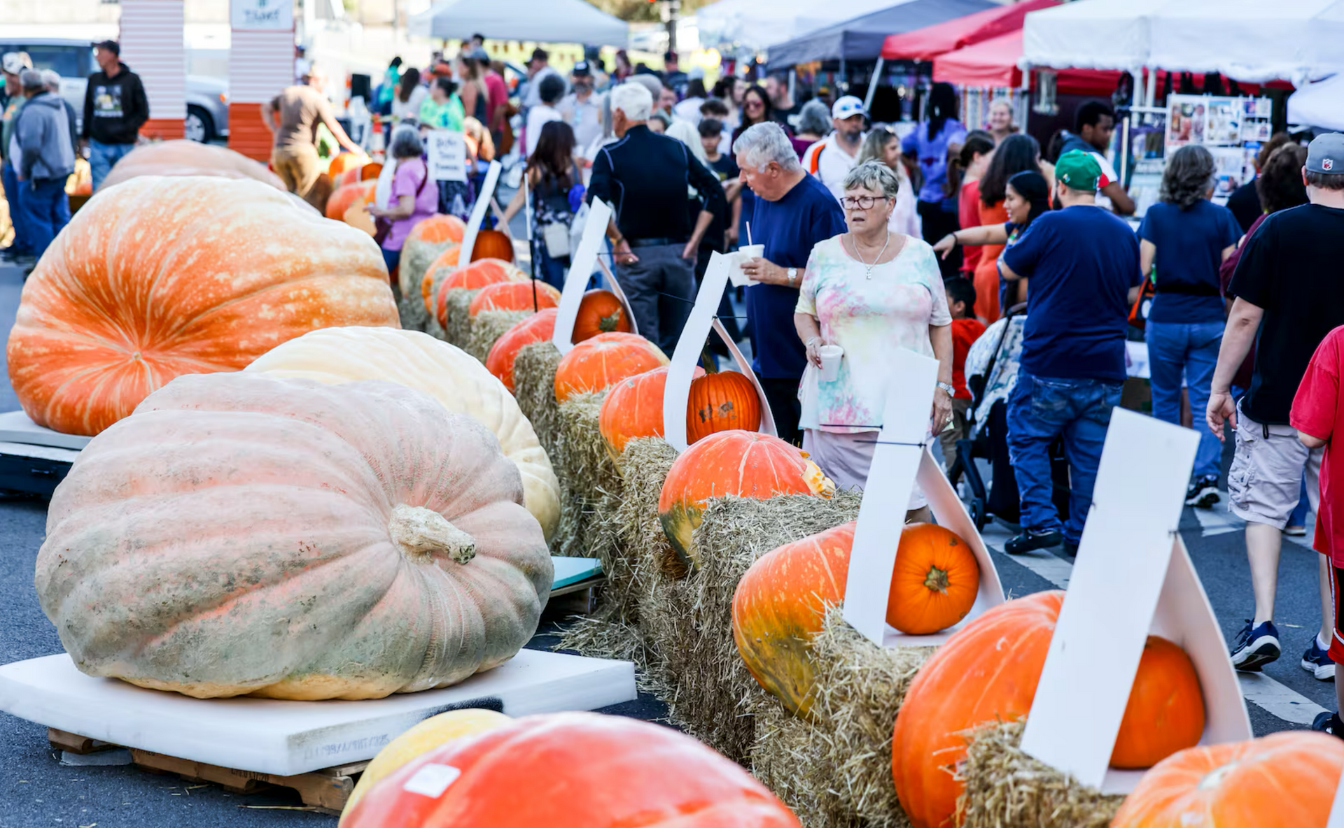 Crowds attending Hamilton fall festival with pumpkins on display