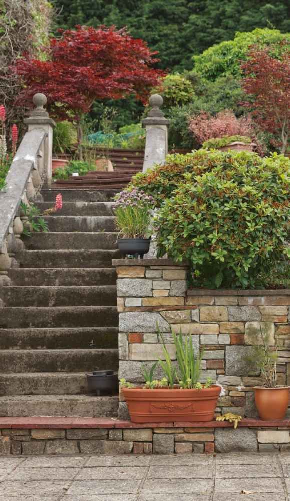 Hardscape & Concrete