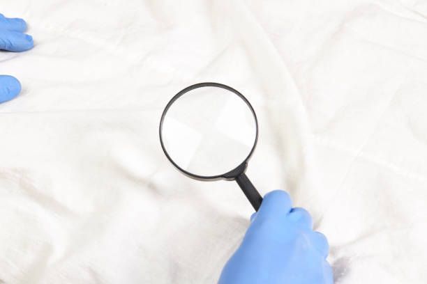 Cleaning Service — Asheville, NC — Bed Bug Department A Division of Go-Forth Services, Inc.