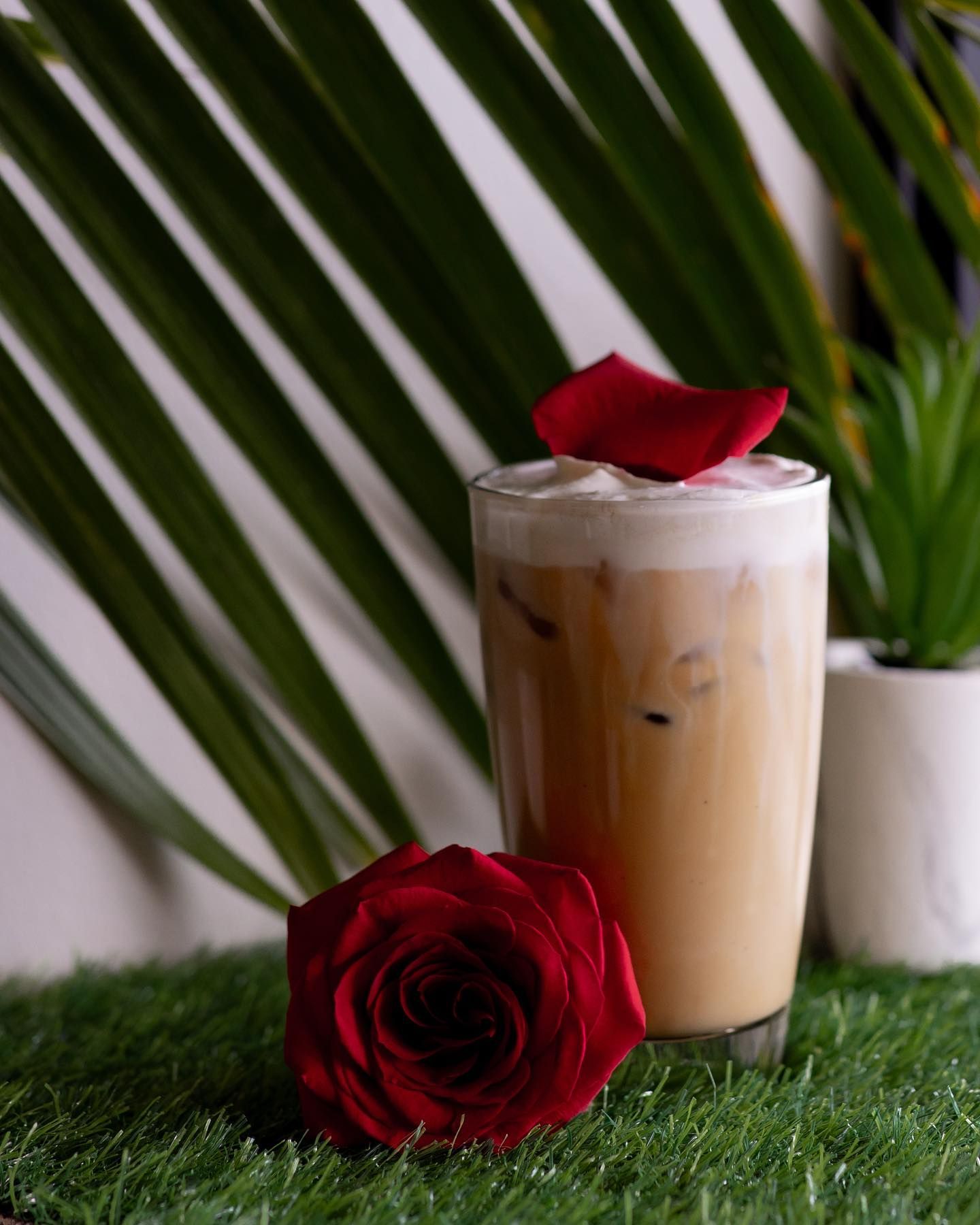 Iced coffee drink with foam, a red rose, and rose petal on a green surface with palm leaves in the background.