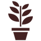 Icona - vendita piante