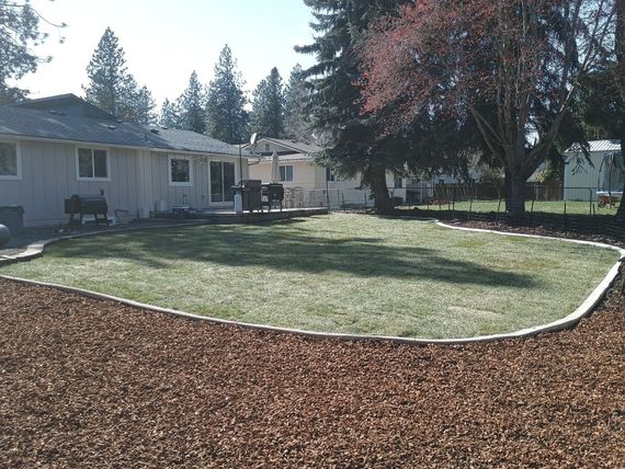 A backyard with a lush green lawn and a house in the background.
