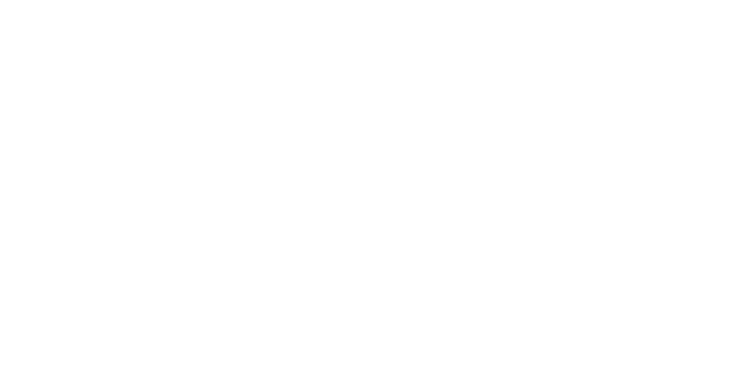 Proficient Termite and Construction logo