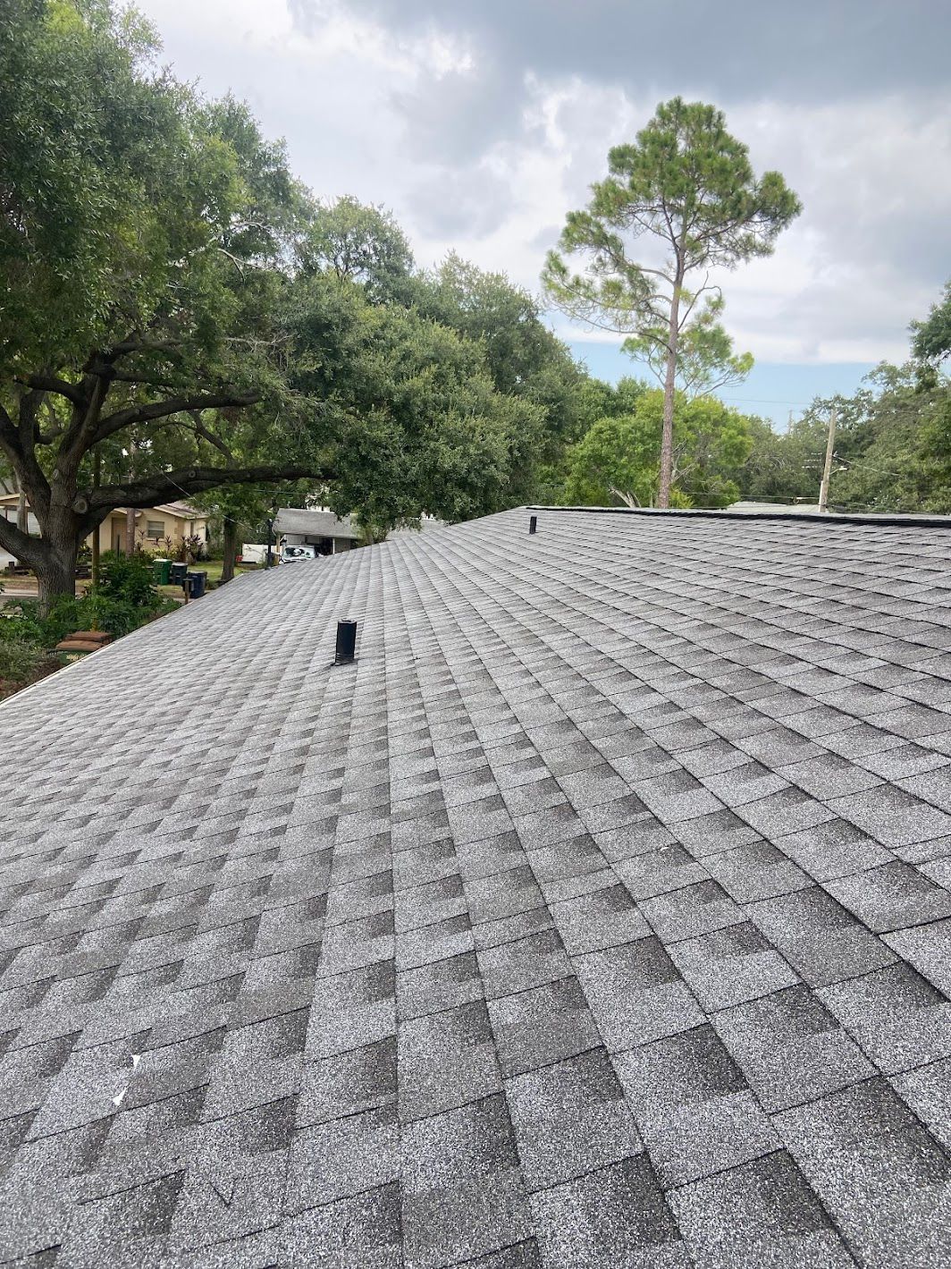 A roof with a lot of shingles and trees in the background.